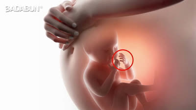 What does a baby do inside the womb?