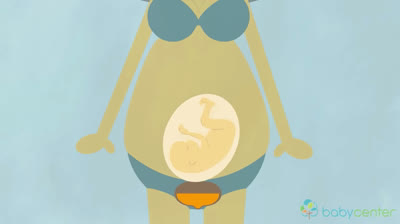 Non-stop urge to pee during pregnancy