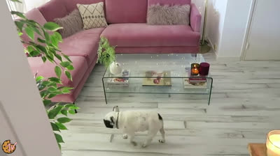 House tour del hogar de Areta la Galleta