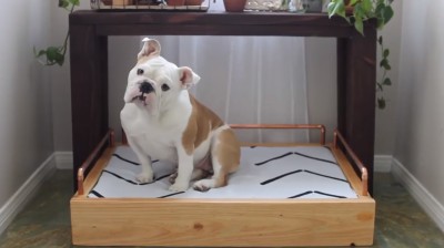 DIY - Bed for your puppy