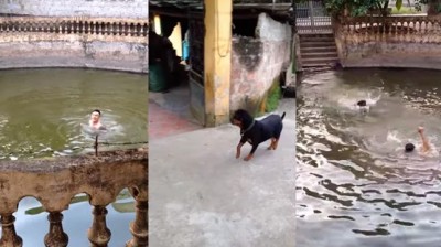 El perro es el mejor amigo del hombre. Este video lo demuestra