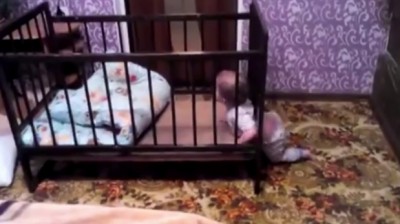 Freedom! | Ninja Babies