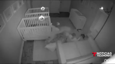 There's no one here to sleep | Ninja Babies