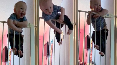 I get out of jail | Ninja babies.